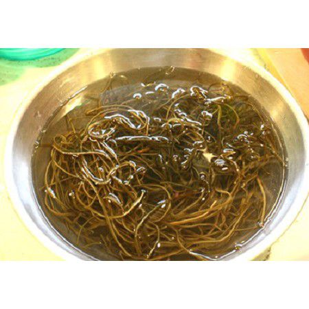 Combo Thạch Dừa Thô+ phổ tai+hạt é+táo đỏ