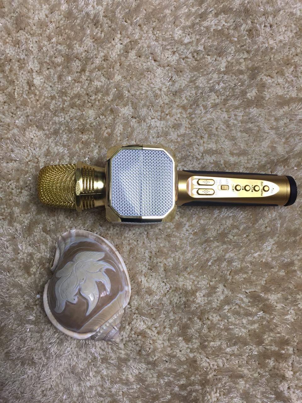 Mic karaoke , micro bluetooth , mic hát karaoke , micro karaoke bluetooth , micro bluetooth karaoke , mic hát kèm loa SD10  âm thanh cực hay ( hat karaoke tren dien thoai ) bán buôn bán lẻ tại shop khohanggiare.vn