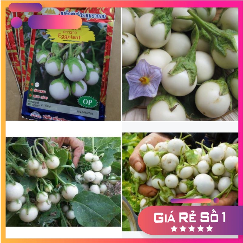 2 gram - Hạt giống cà pháo trắng F1 cao sản Thái Lan
