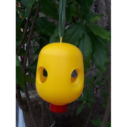 Lồng bẫy ruồi vàng