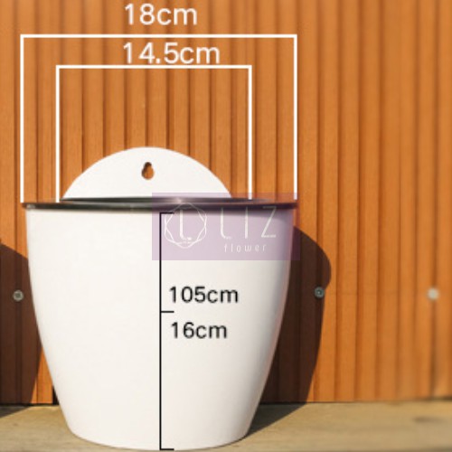 Chậu treo tường trồng cây thuỷ sinh kèm dây & móc treo