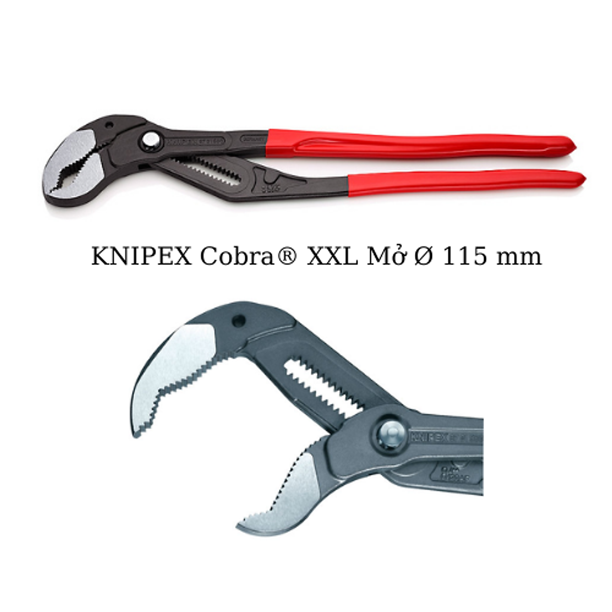 Kìm nước mỏ quạ knipex cobra xxl 87 01 560 mở đến ø115mm chiều dài 560mm - hàng chính hãng 100% từ đức