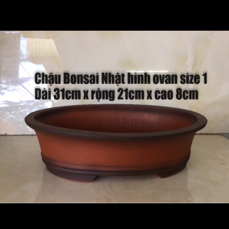 Chậu đất nung Bonsai ovan kiểu Nhật (size 1)
