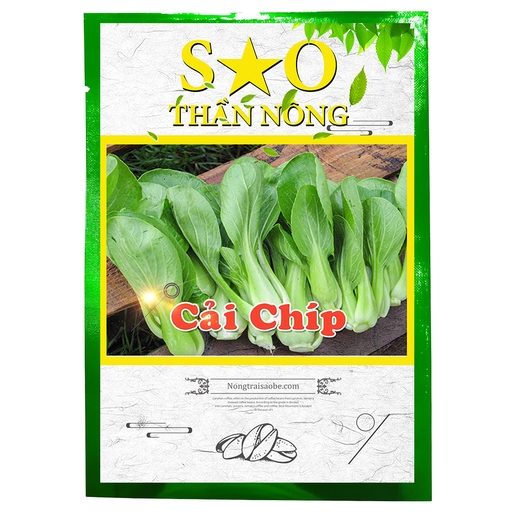 Hạt giống cải chíp 5g cao sản
