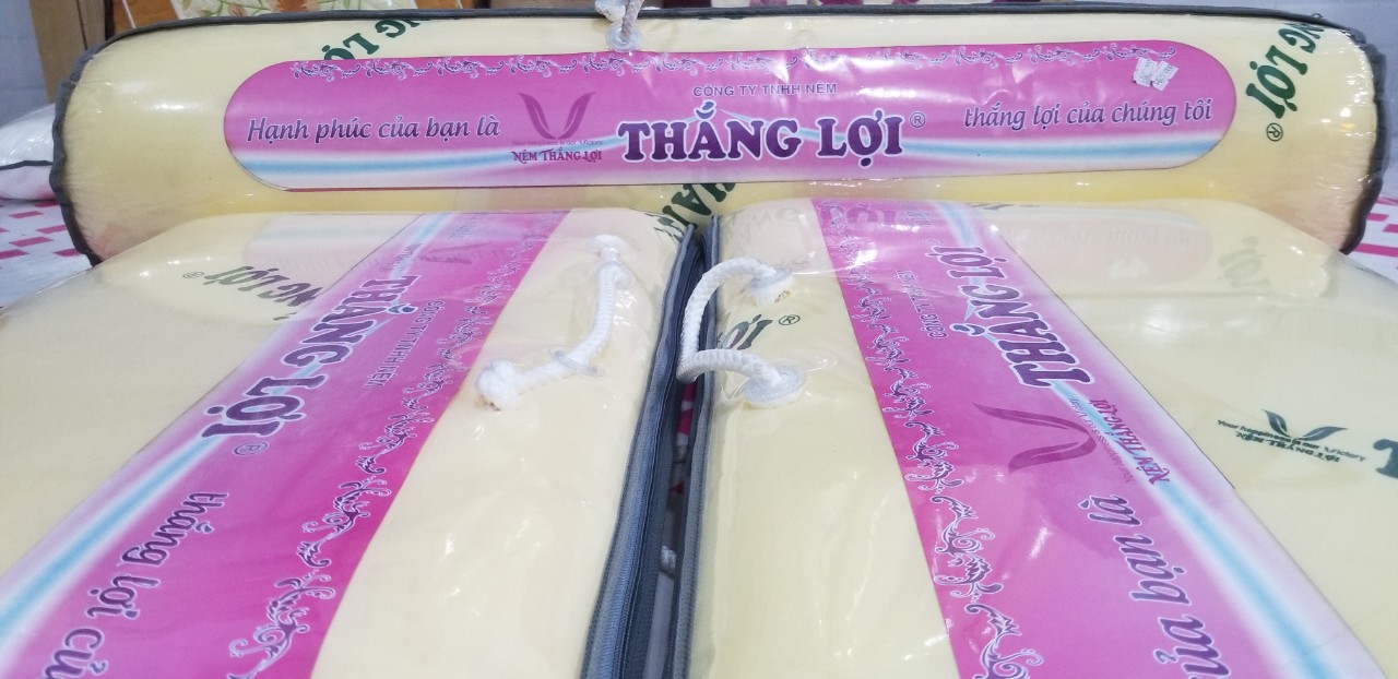 [HCM]Gối CAO SU NON THẮNG LỢI 40*60 Cao Cấp