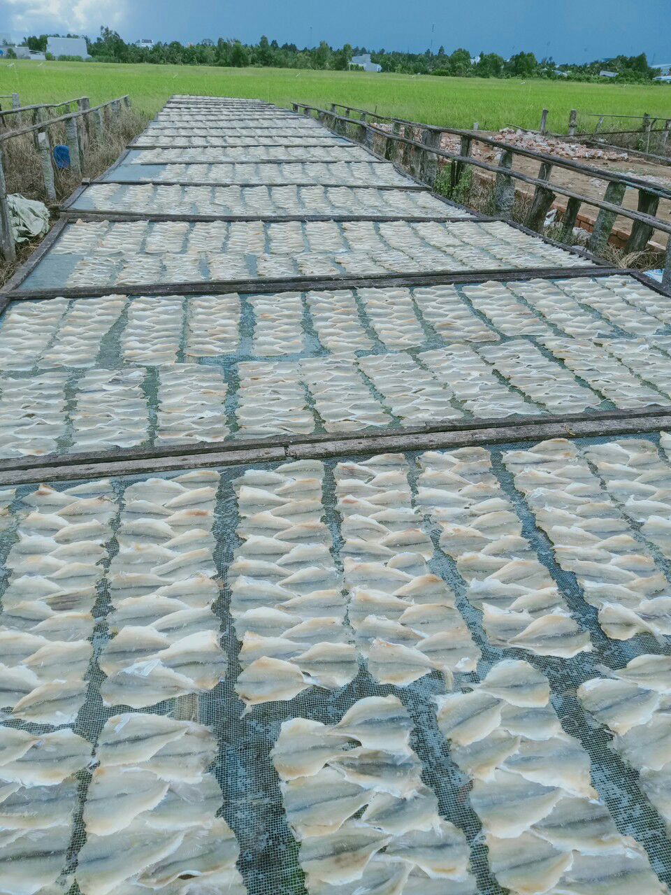 khô cá ngân chỉ xếp 1kg