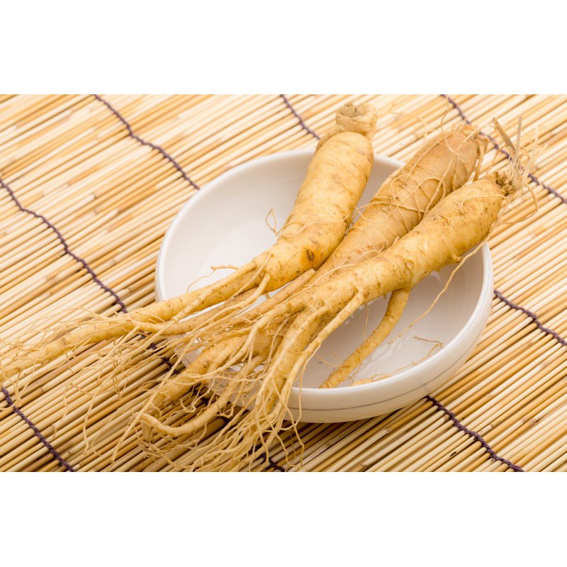 Hạt giống Nhân sâm Hàn quốc