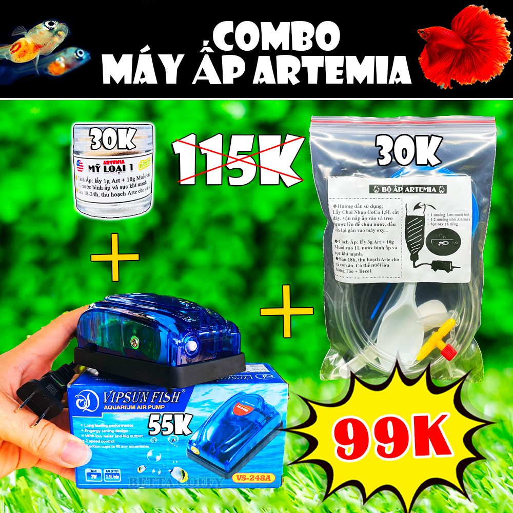 COMBO Bộ ấp Artemia - Thức ăn cho cá nhỏ