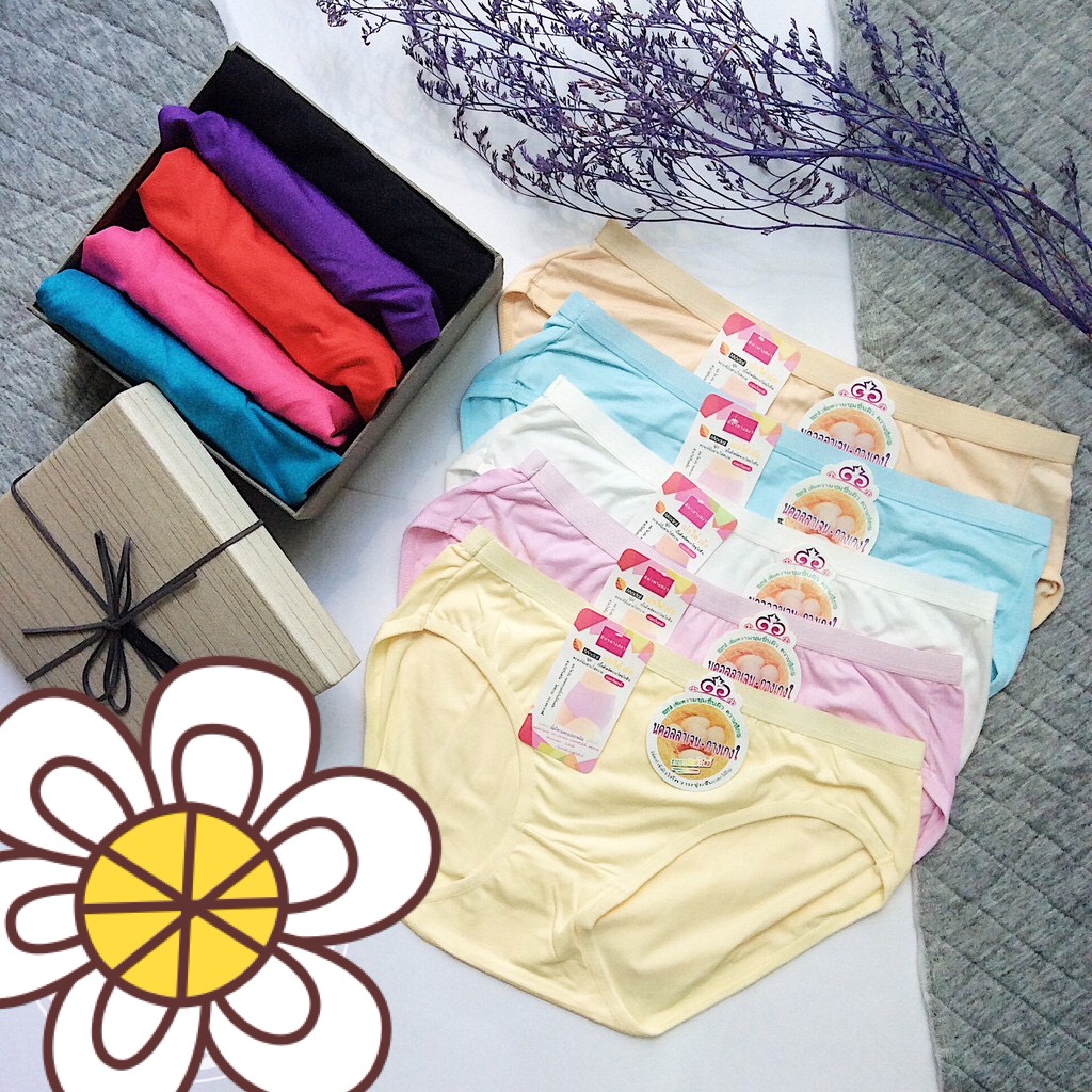Bộ 10 quần lót nữ cotton thoáng mát thái lan, size 40-60kg