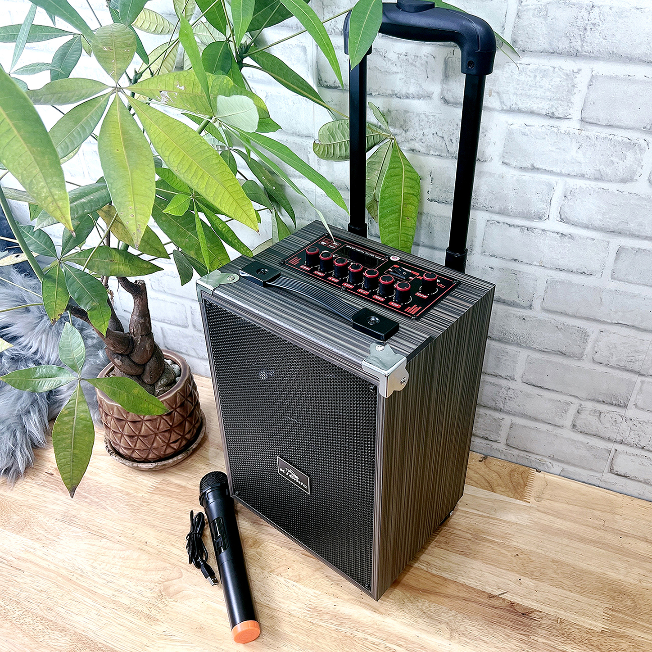 Loa kéo Kiomic Bluetooth Q8 Pro Tặng Mic không dây