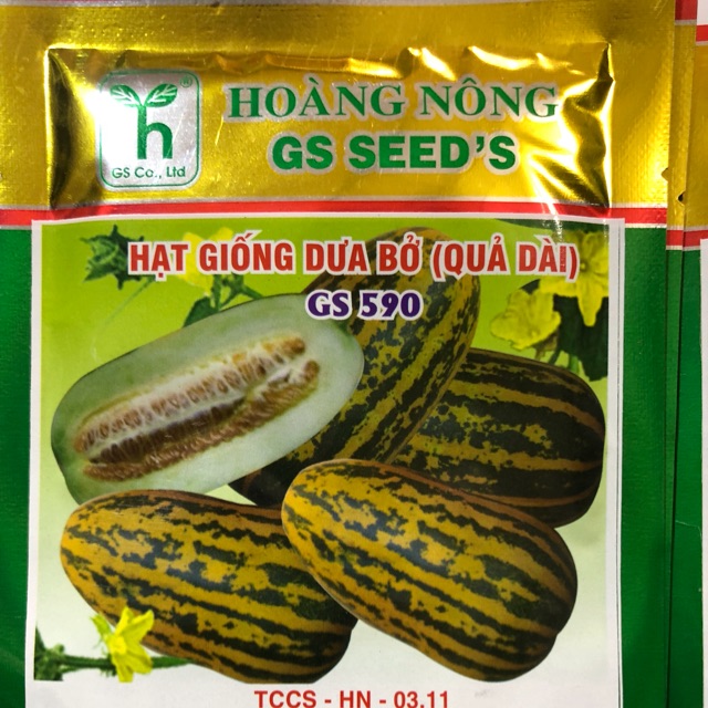 HẠT GIỐNG DƯA BỞ QUẢ DÀI GS590