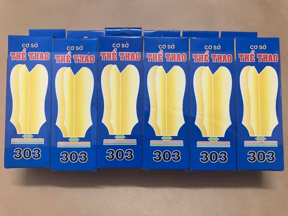 COMBO 2 TRÁI CẦU MÚT 303