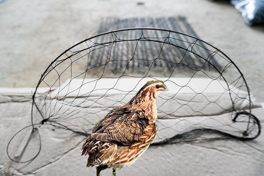 combo 5 cung bẫy cút khung làm bằng thép chịu lực lưới dù thái 5 phân nhuộm tàn hình