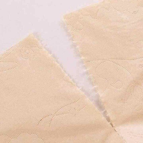 GIẤY VỆ SINH GẤU TRÚC 36 CUỘN 130k