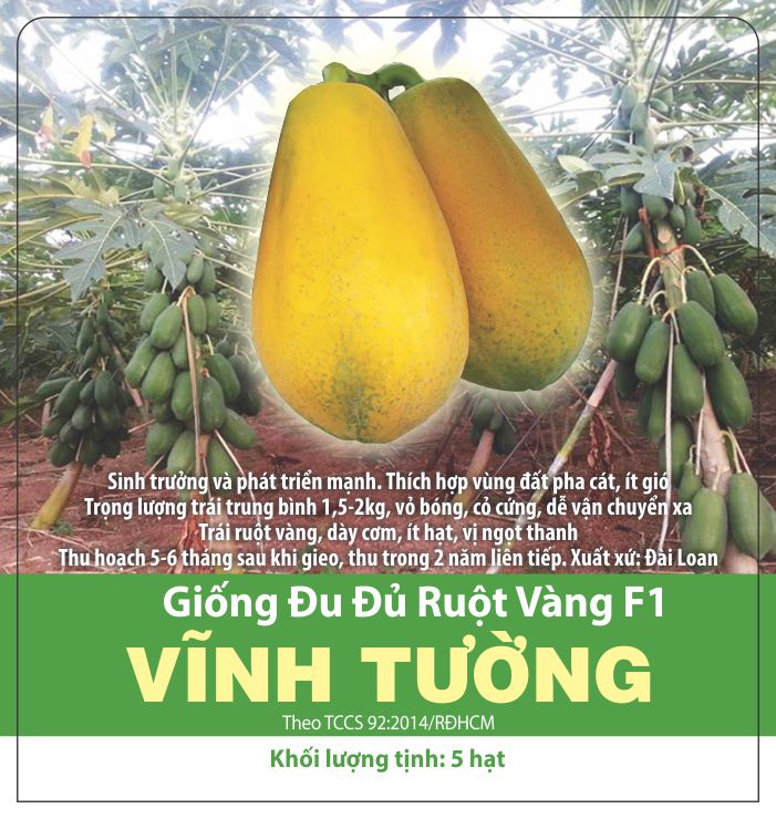 Hạt giống đu đủ ruột vàng f1 vĩnh tường
