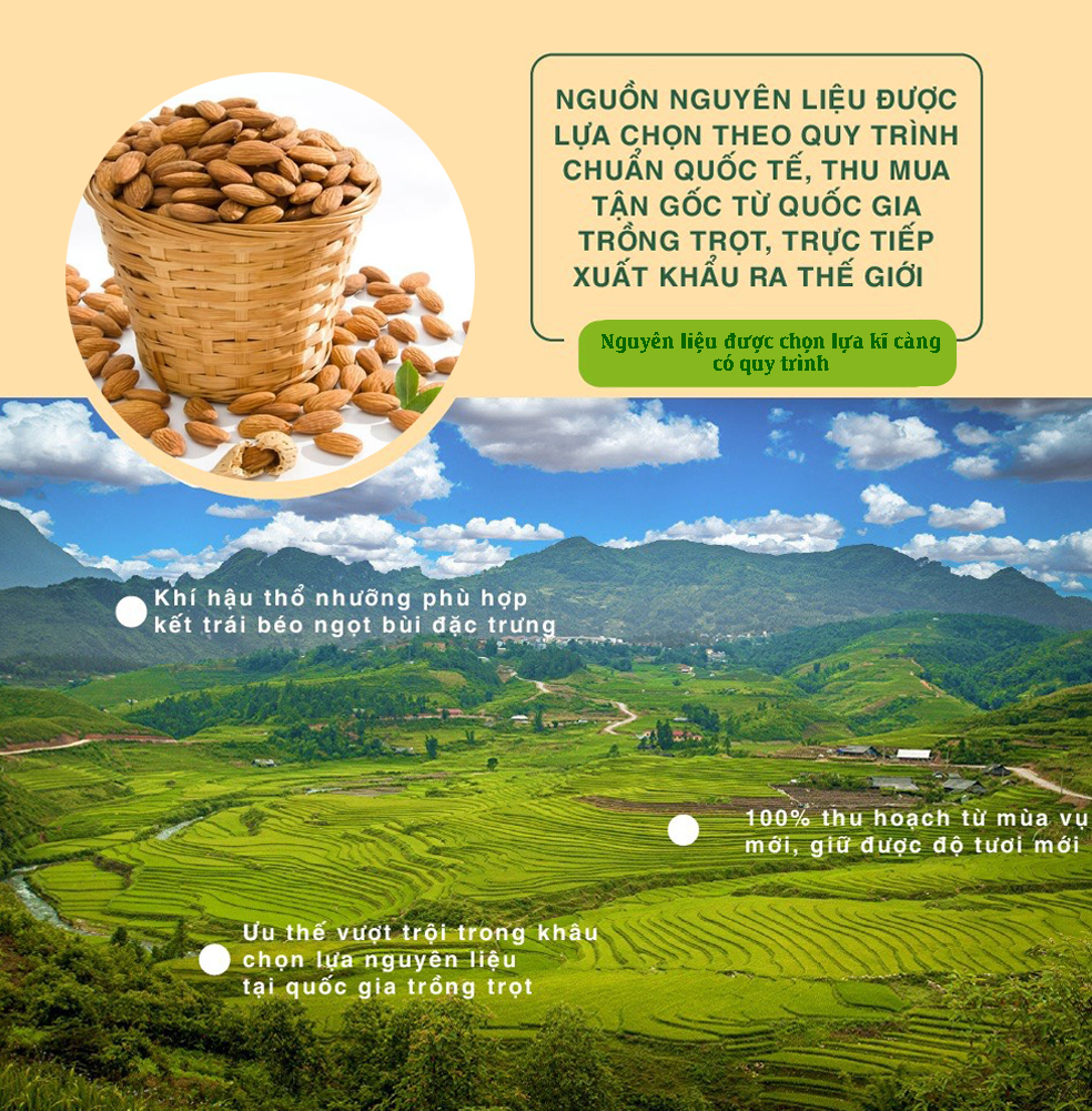 Hạnh Nhân Muối Nhập Khẩu Dan D Pak I Almonds Salted I 170g
