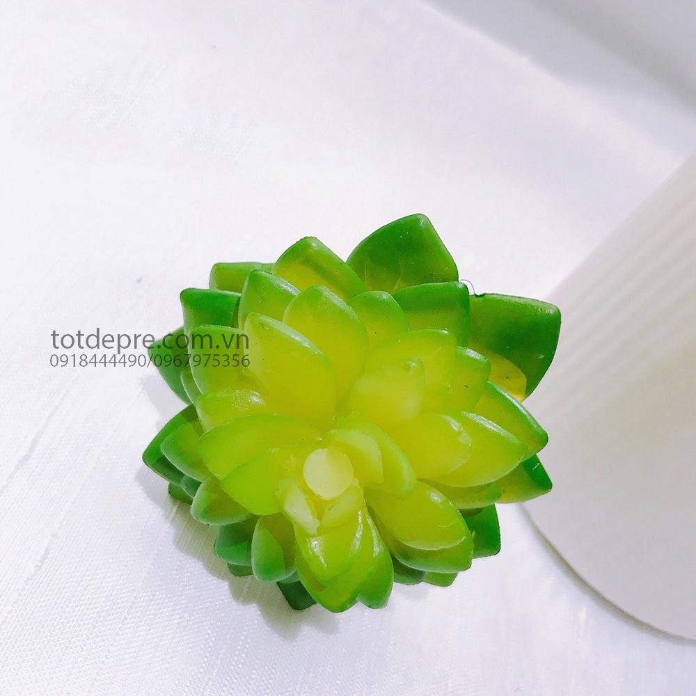 Cây Xương Rồng - Cây giả ms61