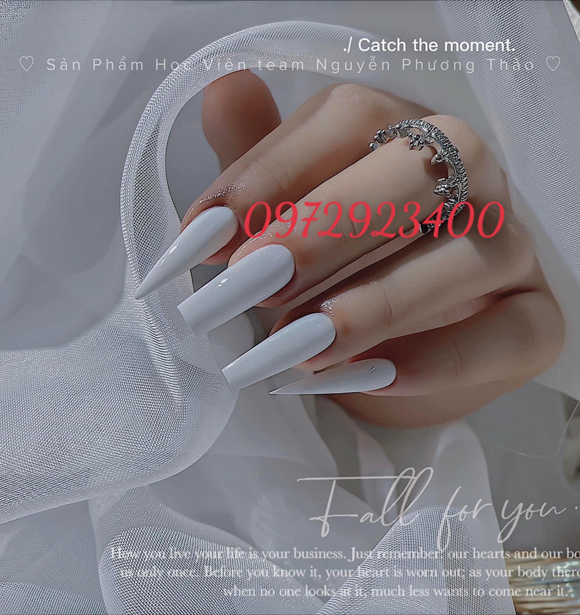 Sơn Gel Trắng Đen Vendeeni 15ml - Nail937