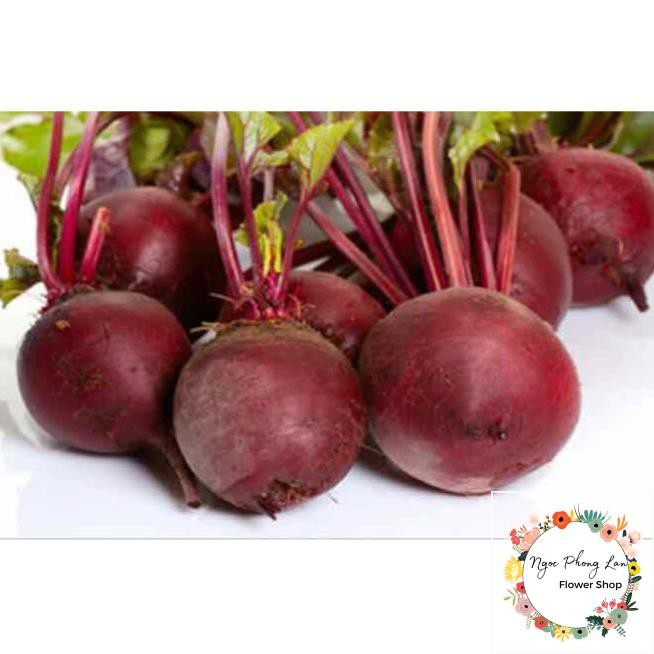 Hạt Giống Củ Dền - Gói 5 Gram