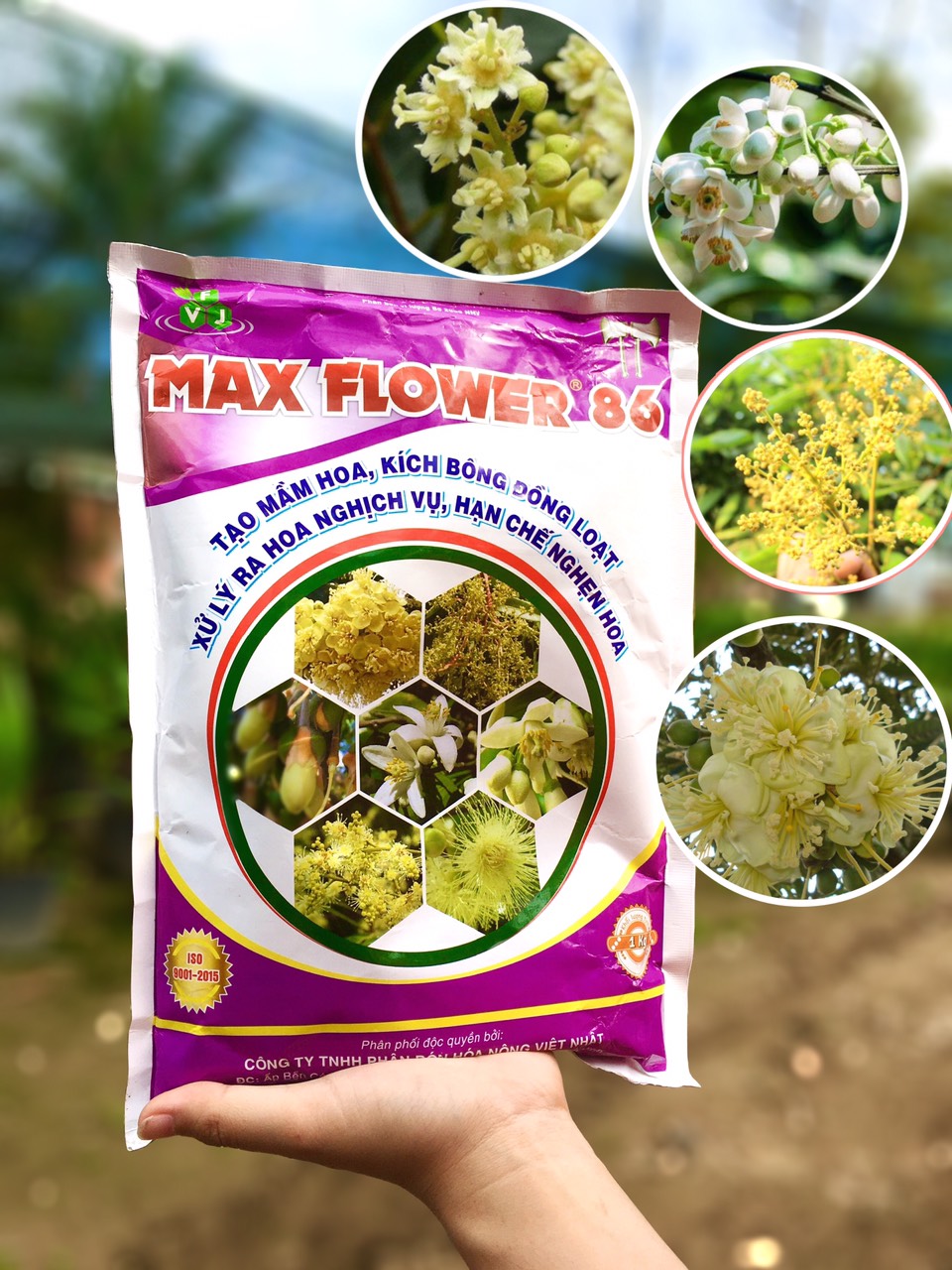 PHÂN BÓN KÍCH HOA MAXFLOWER 86 (LÂN 86%) GÓI 1KG