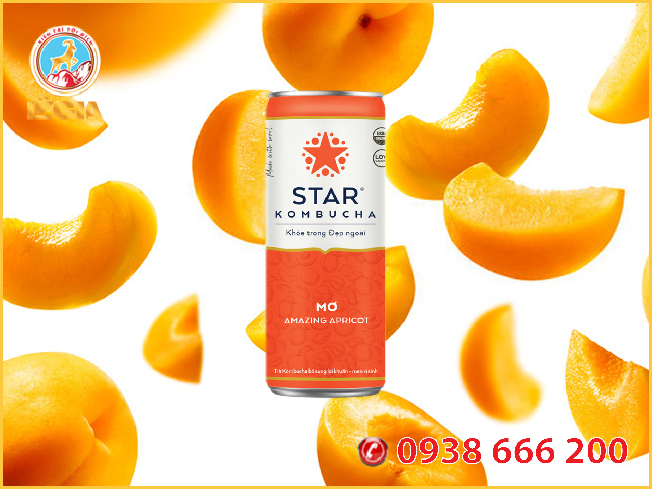 Nước Trái cây STAR KOMBUCHA Nhiều Vị 250ML