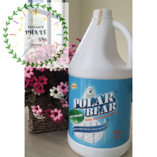 Nước rửa chén POLAR BEAR 3.6kg