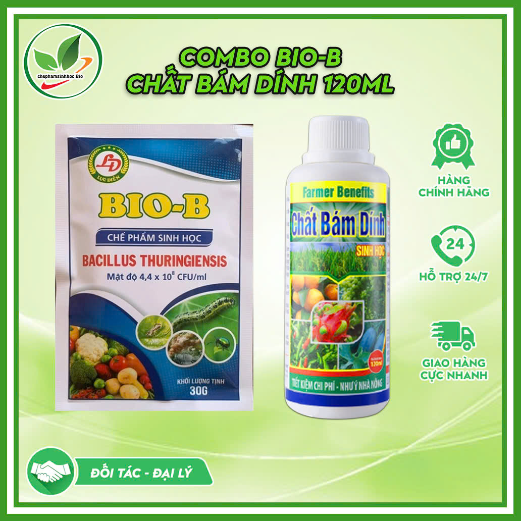 Combo chế phẩm sinh học Bio B 30gram và chất bám dính 120ml.