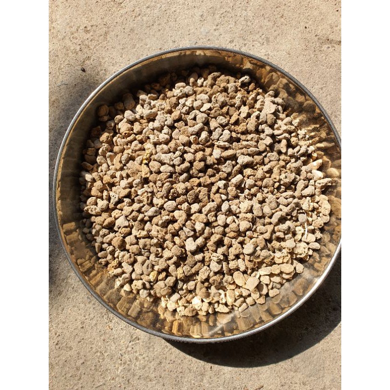 Đá pumice Indonesia size 5 -8mm