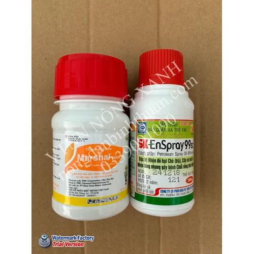 Combo trừ Rệp Sáp và Nhện đỏ Hoa hồng