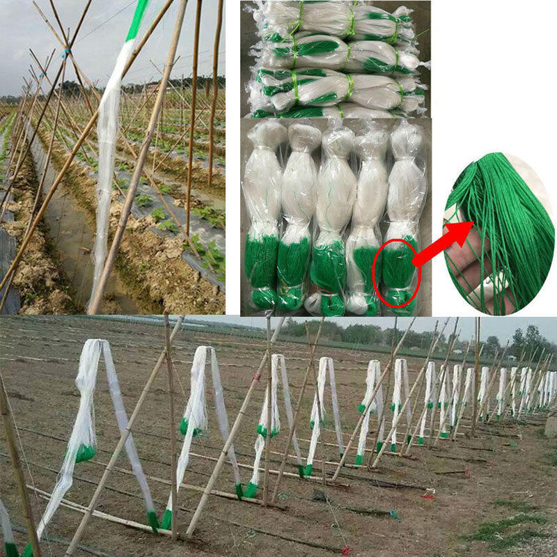 Giàn lưới hỗ trợ trồng cây dây leo 2x100m
