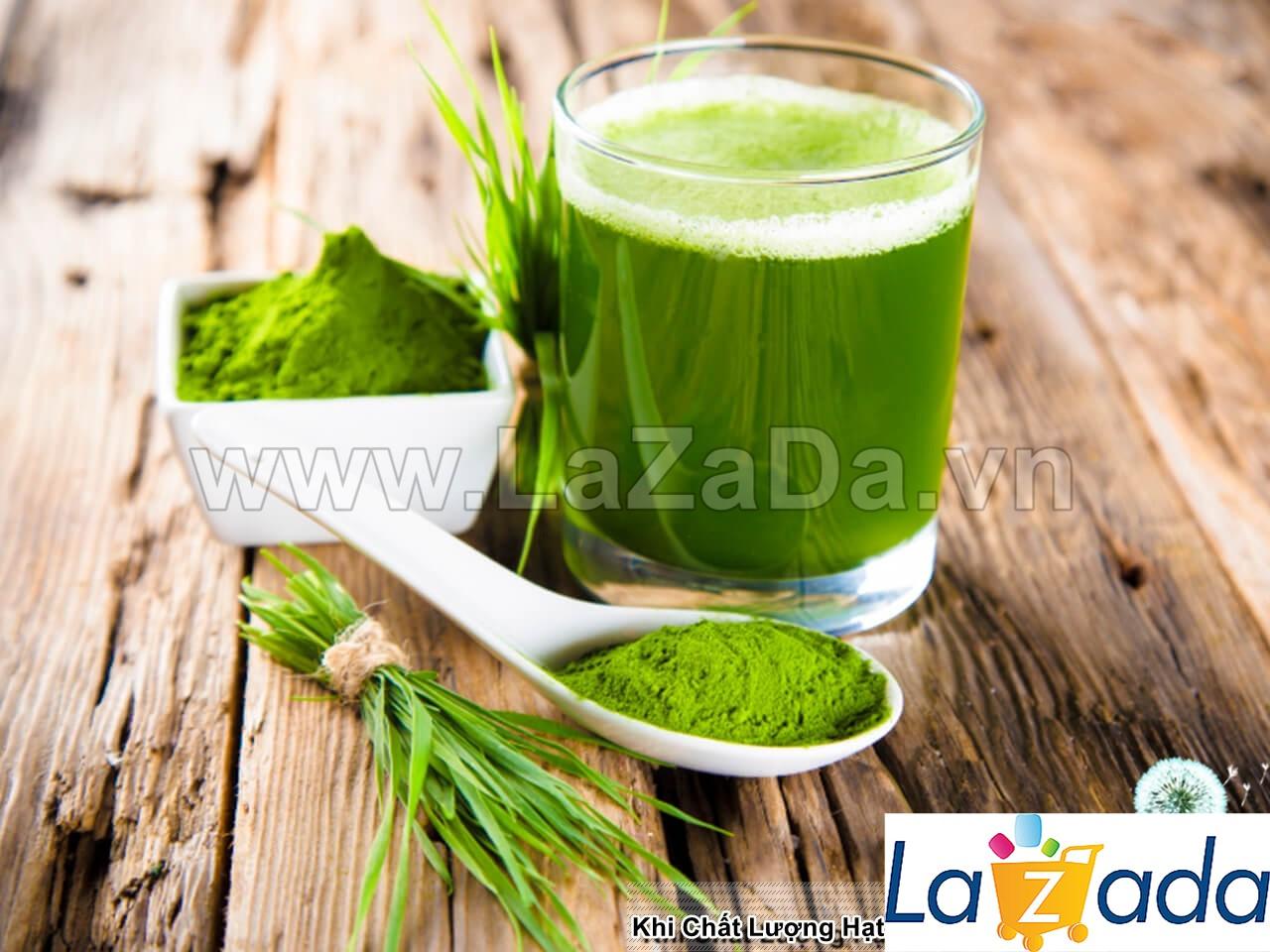100Gr Hạt Giống Cỏ Lúa Mì Đỏ Cỏ Mèo Wheatgrass (A2.205| W20*V34*M054)