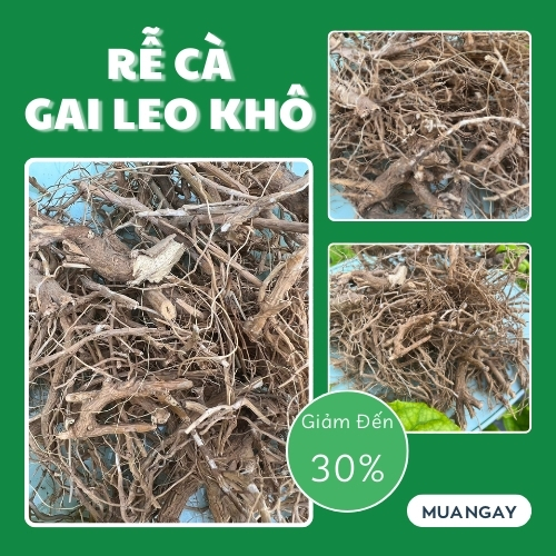 [Trà ngon mới nhập về] Rễ cà gai leo 1kg khô - Hàng công ty chất lượng cao hỗ trợ cải thiện sức khoẻ