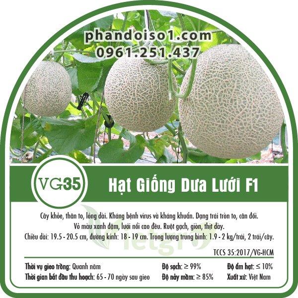 Hạt giống dưa lưới lai f1 rado 153 ruột vàng cam rạng đông gói 10hạt