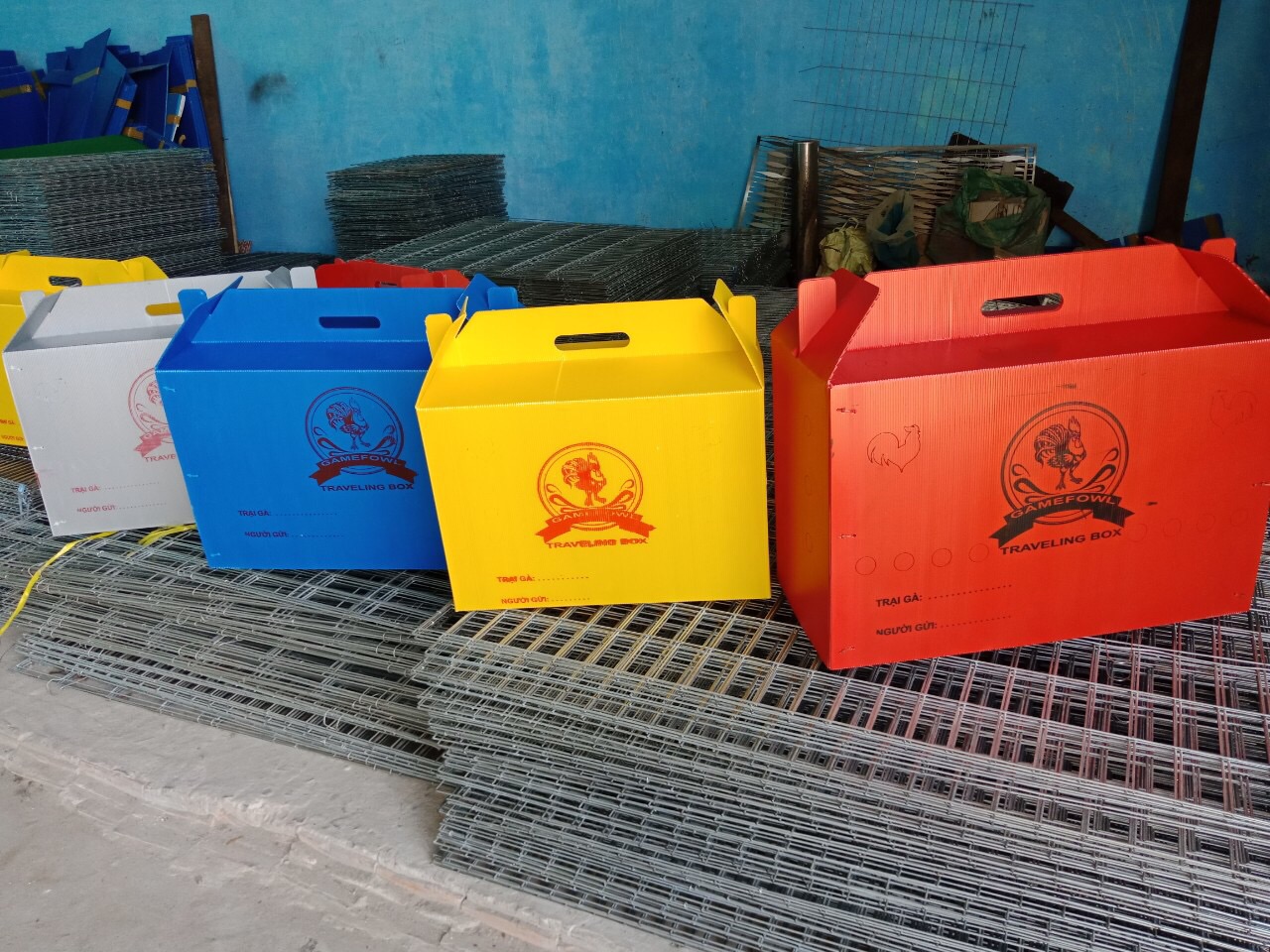 Thùng nhựa gà ngủ