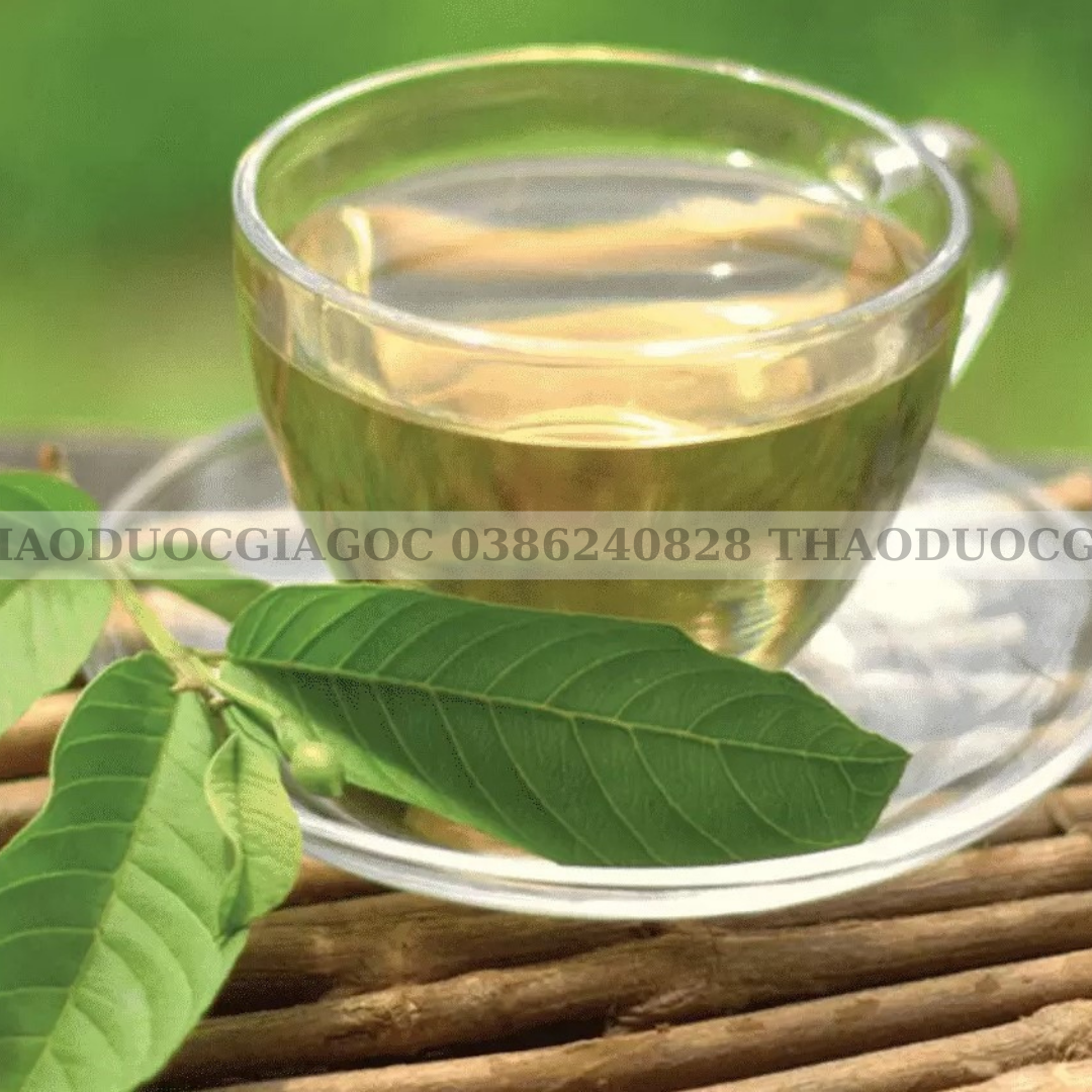 1kg trà lá ổi khô