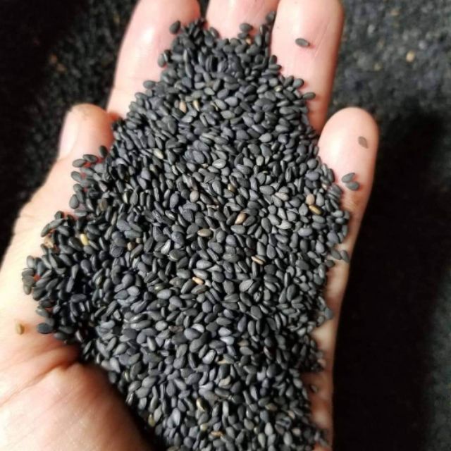 500gr Mè đen hữu cơ Gia Lai Thiên Thảo Organic