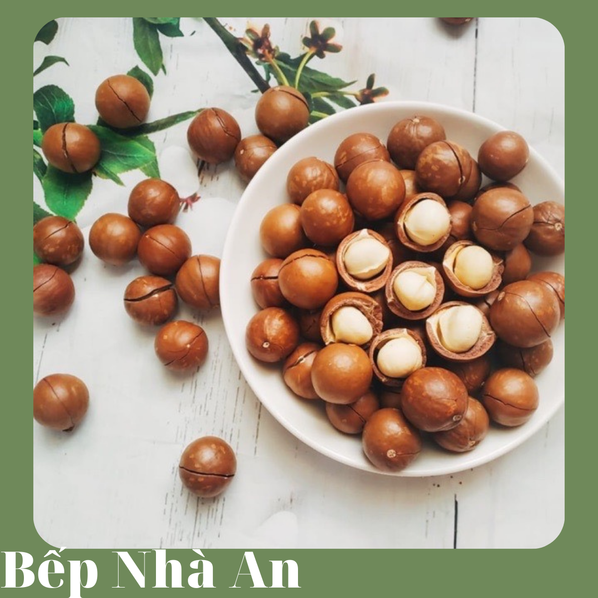 Hạt macca Đăk Lăk 500g - loại 1