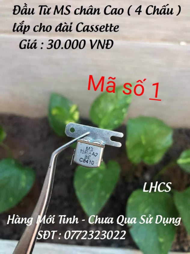 Các Lọai Đầu từ cho Đài Cassett - Đầu Deck