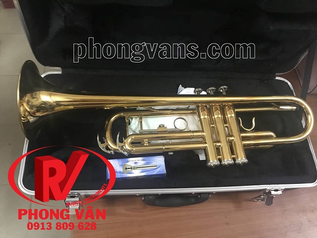 Kèn trumpet Victoria màu vàng