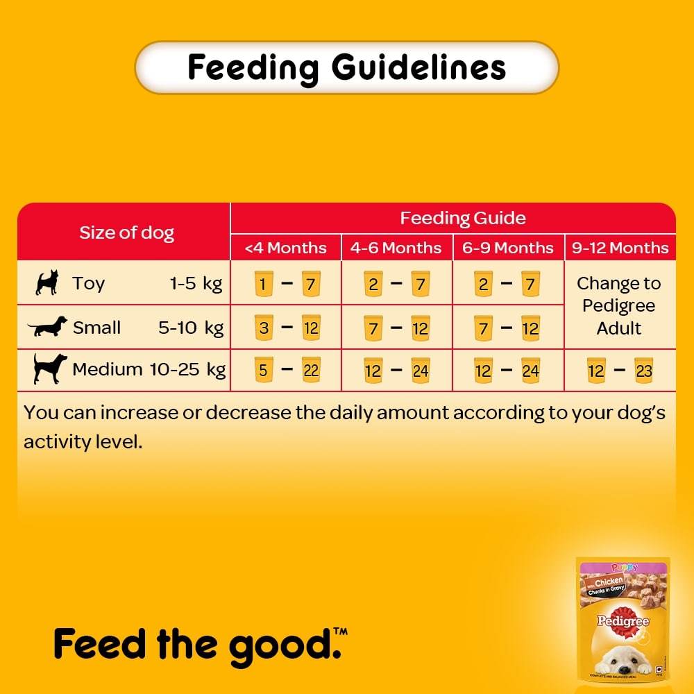 [Hộp 12 Gói] Pate Cho Chó Con Pedigree - Gà Nấu Sốt 130g