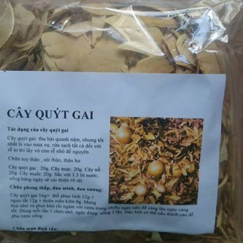 Cây quýt gai khô (cây tầm xoọng) 1KG - DV207