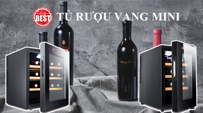 Tủ bảo quản đồ uống cao cấp ( loại 6 chai)