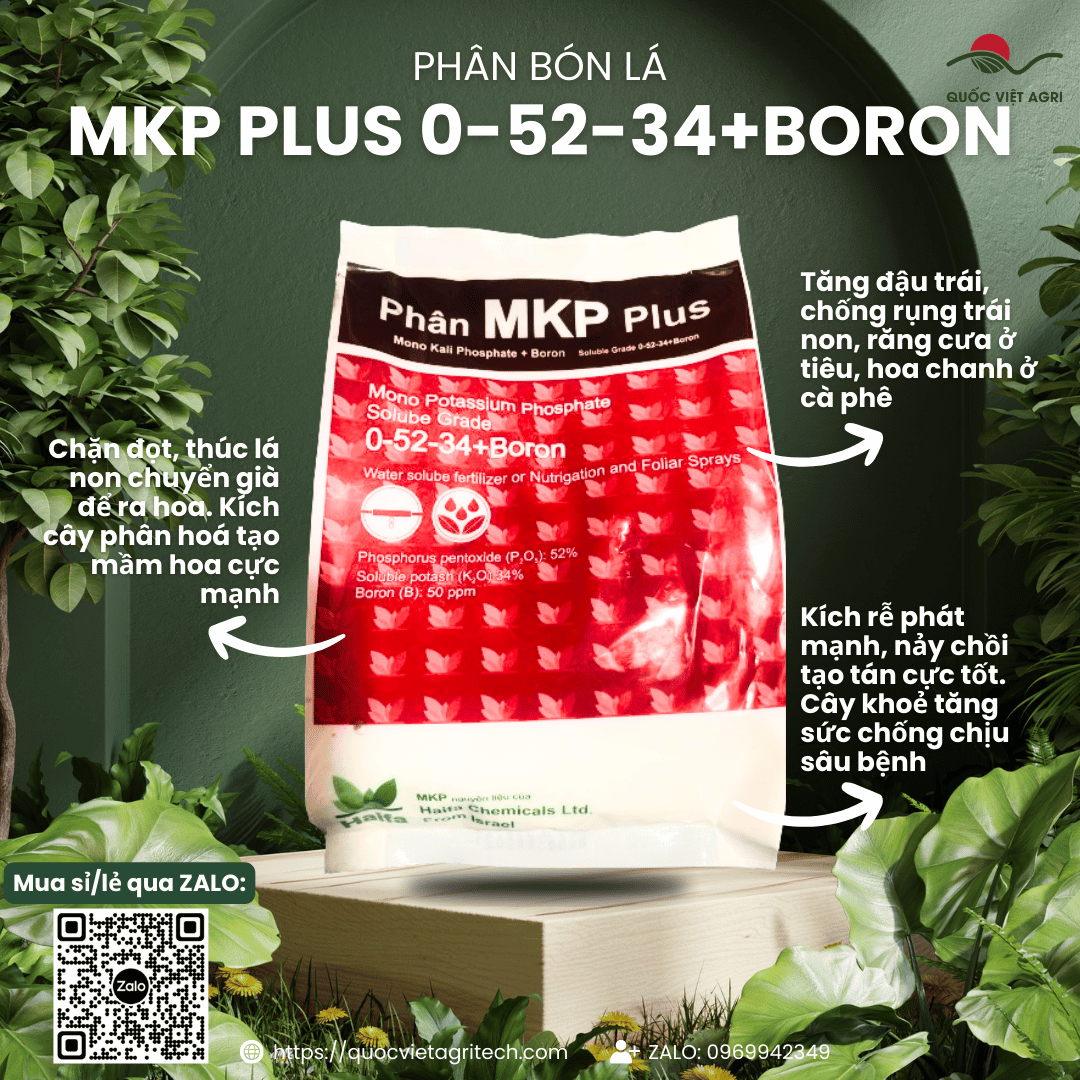 Phân bón lá - mkp plus 0-52-34+boron - 1kg