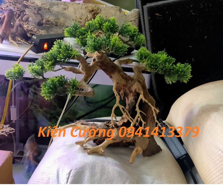 Cây gỗ lũa thủy sinh dùng cho bể cá cảnh, gỗ lúa cao cấp (Mẫu 4)