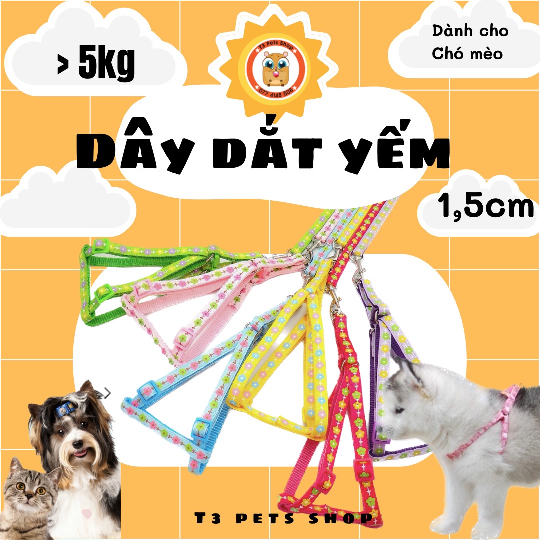 Dây dắt vòng cổ và dây dắt yếm cho chó mèo từ 1kg đến 12kg