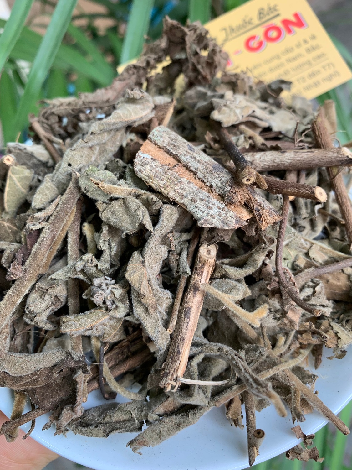 [HCM]CÂY AN XOA 500GRAM Tiệm Thuốc Bắc Sài Gòn