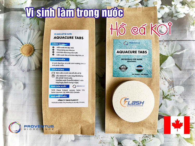 [HCM]Men Vi Sinh Làm Trong Nước Hồ Cá KOI - AQUACURE TABS CANADA