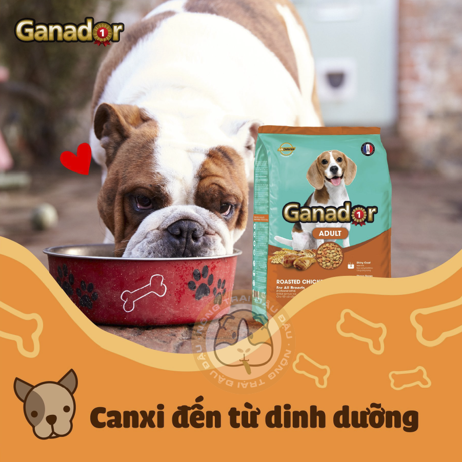 Thức Ăn Hạt Ganador Cho Chó 400g