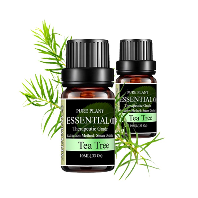 Tinh dầu Tràm Trà điều trị vết thương trị cảm cúm giảm đau nhức cơ thể mệt mỏi.