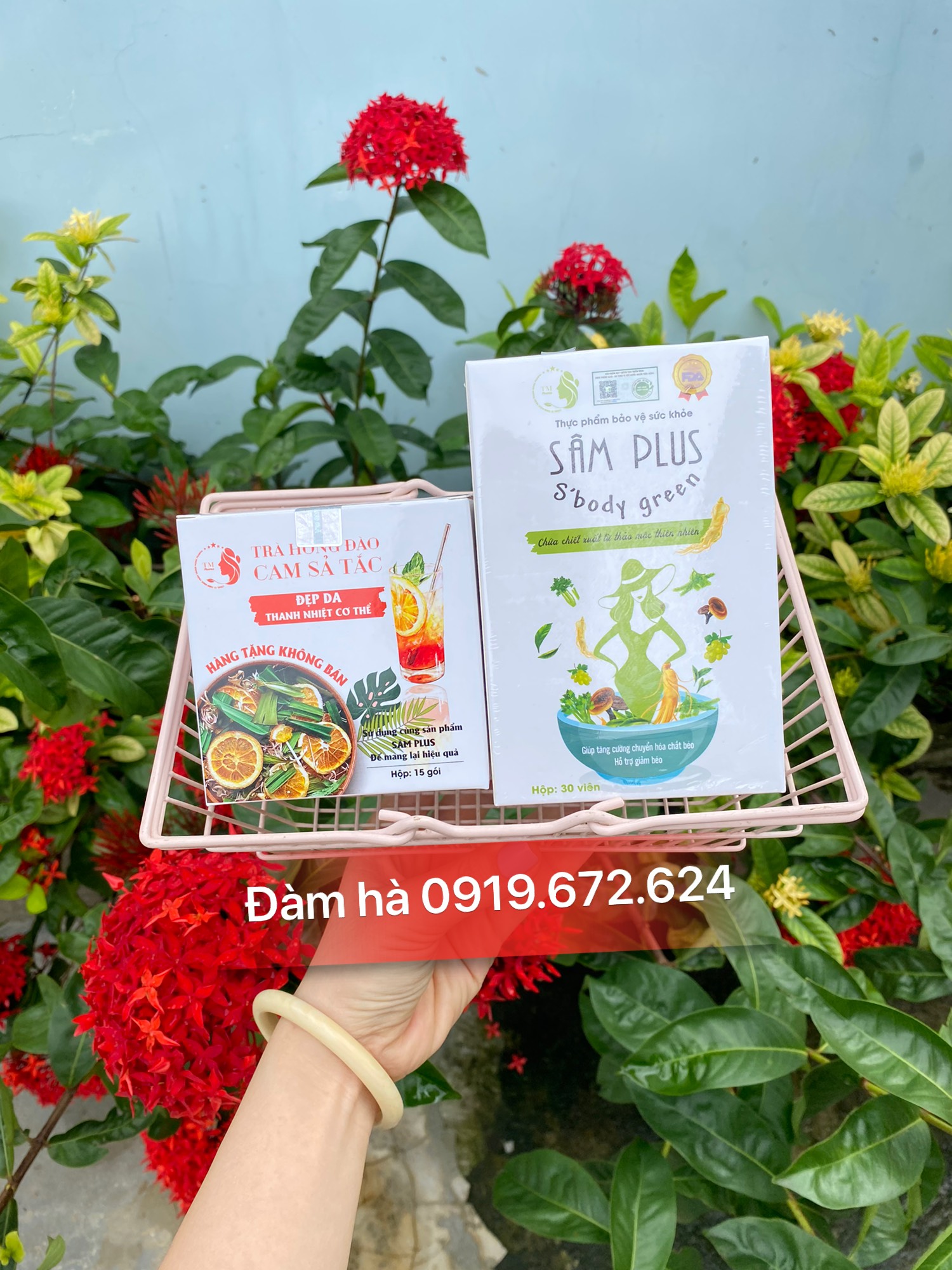 Kẹo giảm cân Sâm Plus sbody green - sâm plus s' body green (30kẹo+15 trà)